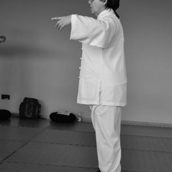 DSC 0022 2-2